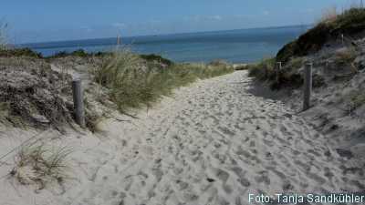 Weg durch die Dühnen zum Strand